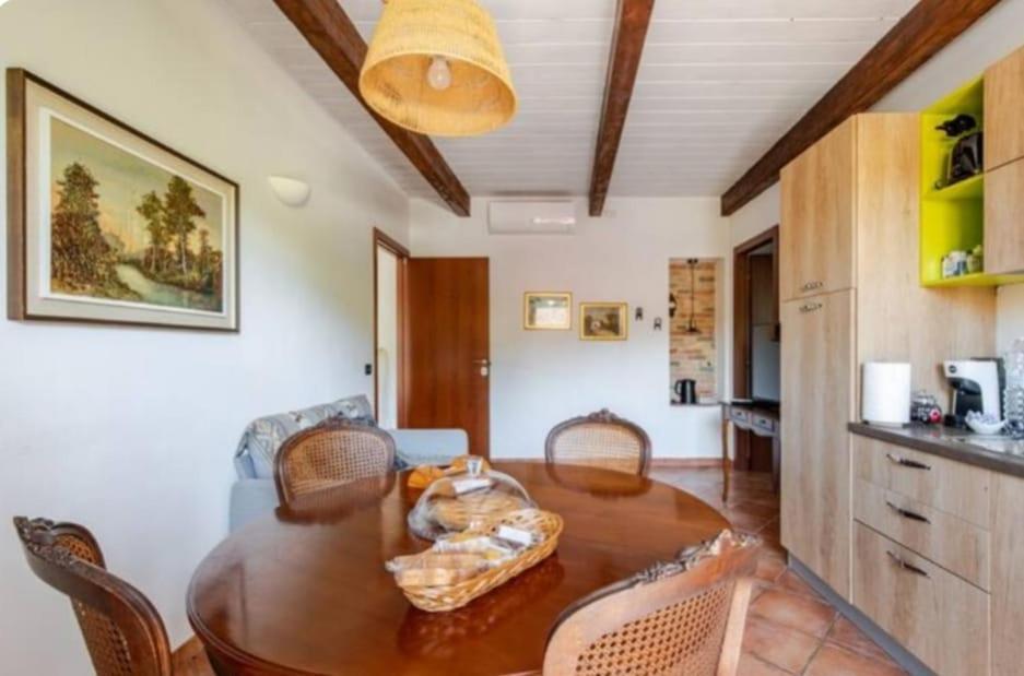 Villa Gallina Barbaresco Εξωτερικό φωτογραφία